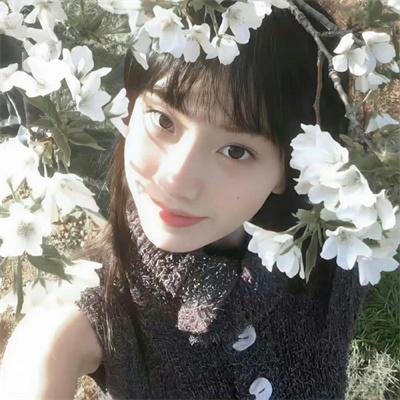 楚留香新传之兰花传奇